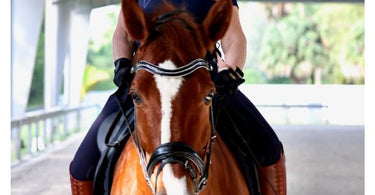 Alternatives for Professional Riders