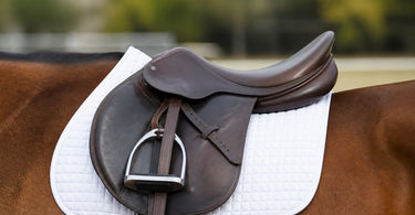 How Much Do Professional Jumping Saddles Cost in 2026?