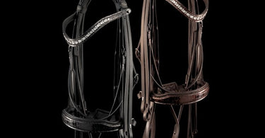 Durable Bridles for Daily Training Sessions