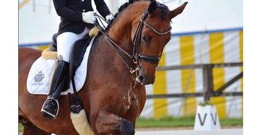 Signs a Saddle Does Not Fit: 8 Warning Signs to Know