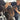 How to Break In a New Leather Bridle: Step-by-Step