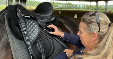 Professional Saddle Fitting in Florida: What to Expect