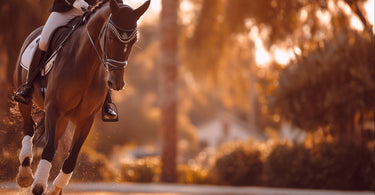 Dressage vs Jumping Saddles: Key Differences