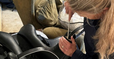 Benefits of Professional Saddle Fitting