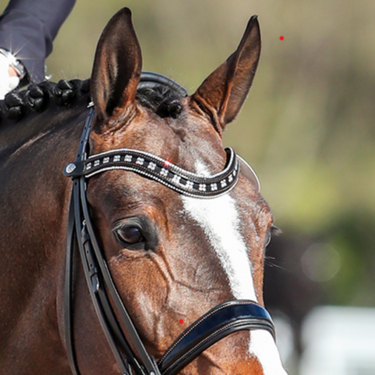 Browband Type D