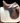 Challenge , 17,5" , brown  , Part Black patent flap , back side saddle patent black , swarovski line