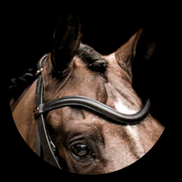 Browband Normal leather