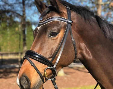 Browband Type F