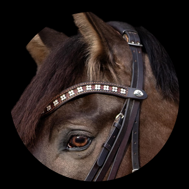 Browband Type B