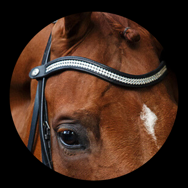 Browband Type E