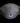 Dressage girth big