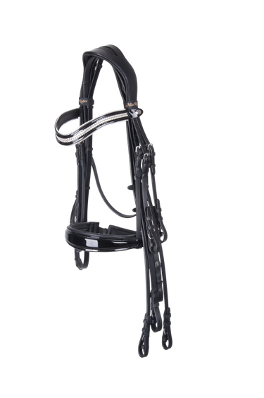 Double Bridle Anatomic