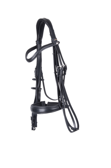 Double Bridle Cut Back