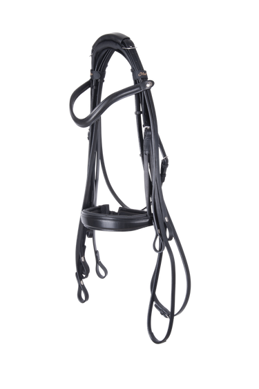 Double Bridle On Top