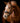 King – Born 2015