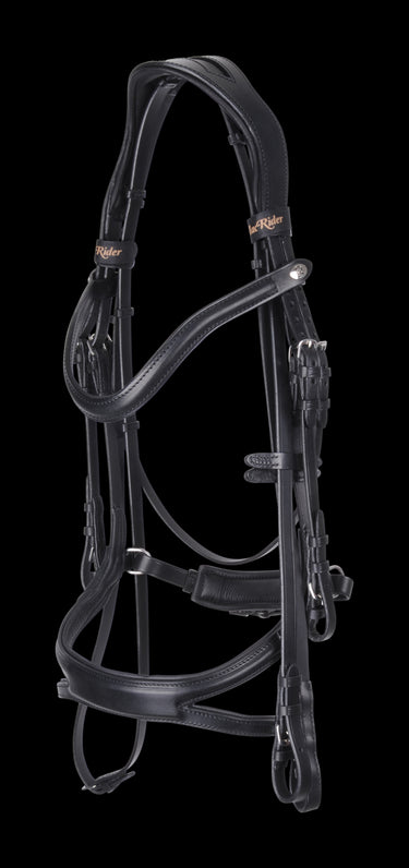 Snaffle Dallas