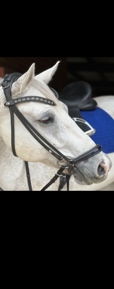 Snaffle On Top Special with Drop noseband