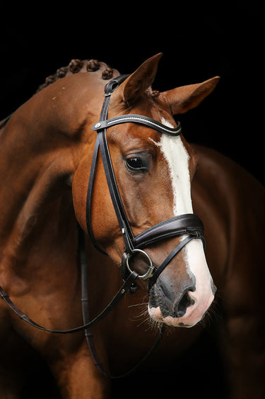 Browband Type A